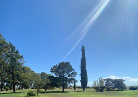 Tornquist, Buenos Aires, ,Campo,Venta,1454