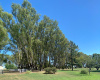 Tornquist, Buenos Aires, ,Campo,Venta,1454