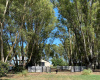 Tornquist, Buenos Aires, ,Campo,Venta,1454