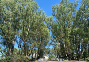 Tornquist, Buenos Aires, ,Campo,Venta,1454