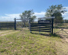 Tornquist, Buenos Aires, ,Campo,Venta,1454