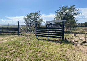 Tornquist, Buenos Aires, ,Campo,Venta,1454