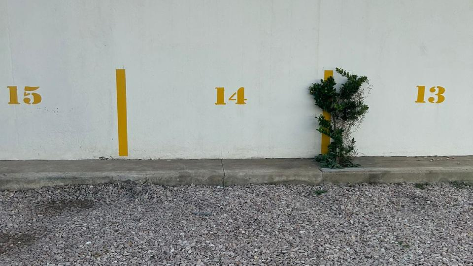 1755 Viamonte, Bahía Blanca, Buenos Aires, 8000, 1 Bedroom Bedrooms, 2 Rooms Rooms,1 BathroomBathrooms,Departamento,Alquiler,Viamonte,0,1463