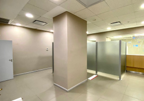 241 Chiclana, Bahía Blanca, Buenos Aires, 8000, ,Local comercial,Alquiler,Chiclana,1465