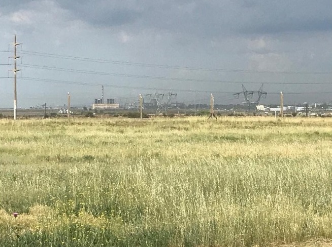Grunbein, Bahía Blanca, Buenos Aires, 8000, ,Terreno,Venta,Grunbein,1487