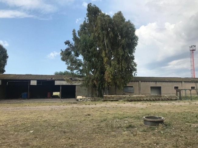 Grunbein, Bahía Blanca, Buenos Aires, 8000, ,Terreno,Venta,Grunbein,1487