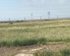 Grunbein, Bahía Blanca, Buenos Aires, 8000, ,Terreno,Venta,Grunbein,1487