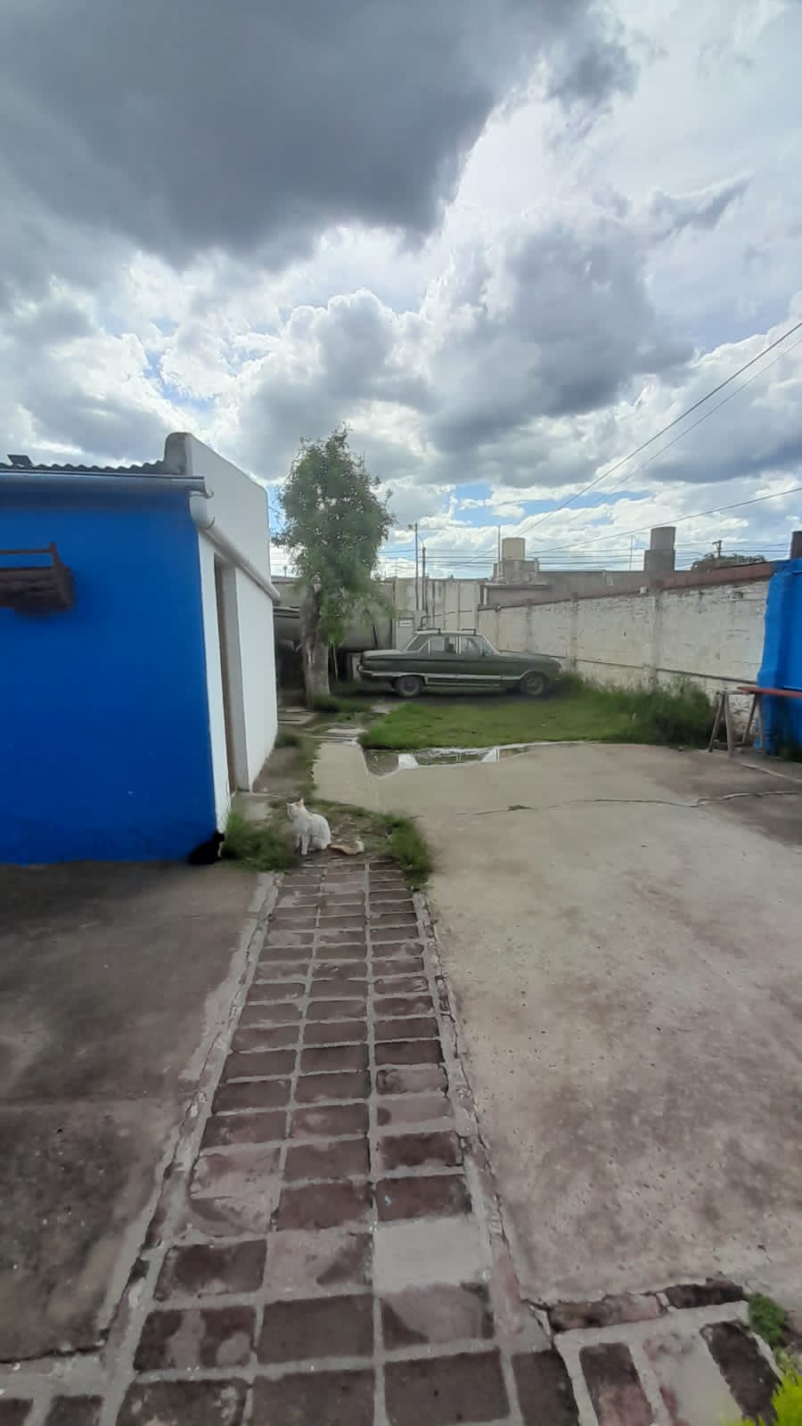 1740 Enrique Julio, Bahía Blanca, Buenos Aires, 8000, 3 Bedrooms Bedrooms, ,1 BathroomBathrooms,Casa,Venta,Enrique Julio,1499