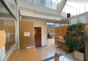 1506 undiano, Bahía Blanca, Buenos Aires, 8000, 14 Rooms Rooms,3 BathroomsBathrooms,Oficina,Alquiler,undiano,1607
