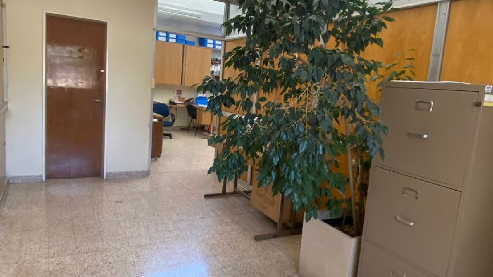 1506 undiano, Bahía Blanca, Buenos Aires, 8000, 14 Rooms Rooms,3 BathroomsBathrooms,Oficina,Alquiler,undiano,1607