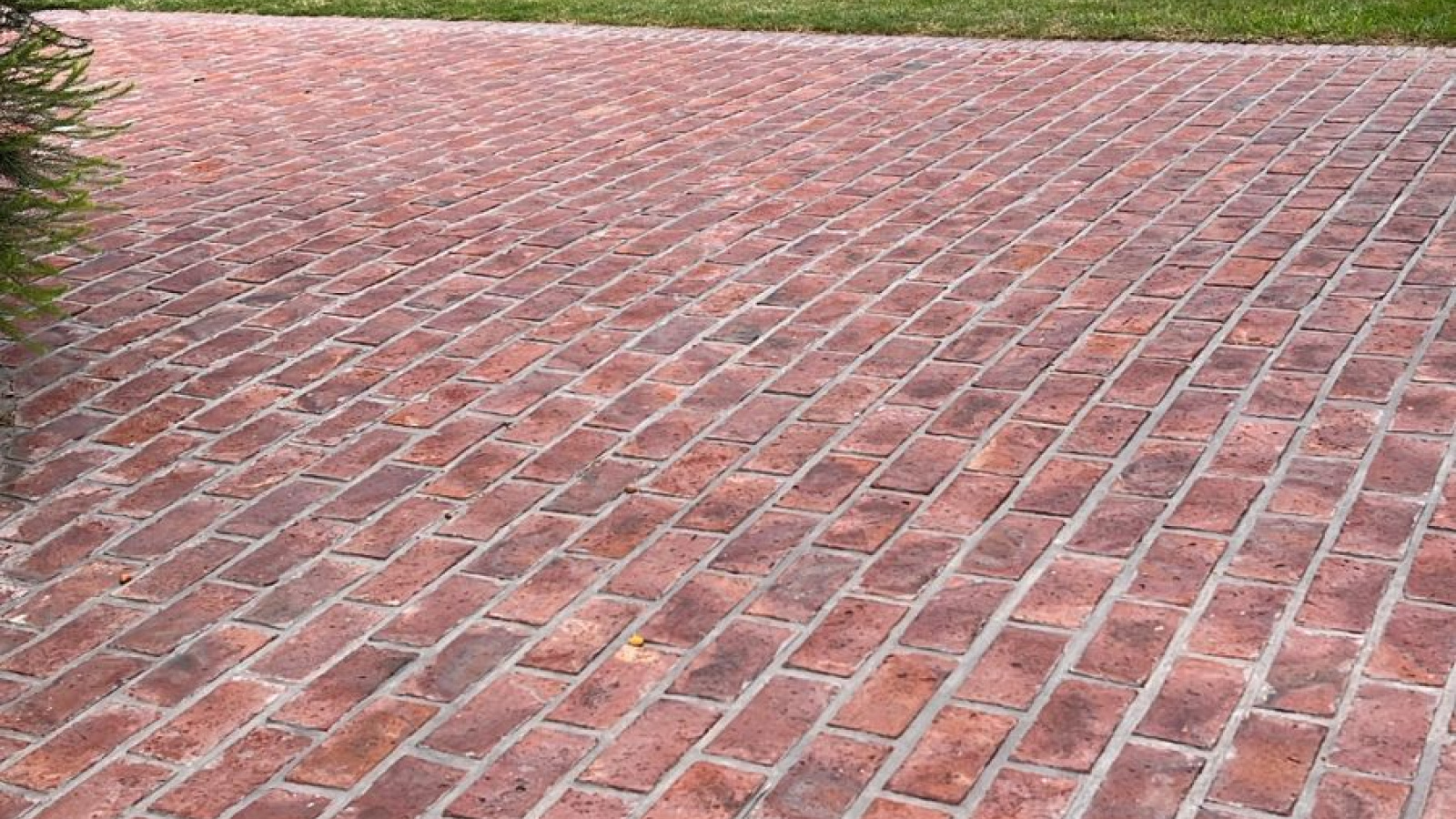 578 Lauquen, Bahía Blanca, Buenos Aires, 8000, 1 Bedroom Bedrooms, 0 ,1 BathroomBathrooms,Casa,Alquiler,Lauquen ,0,1608