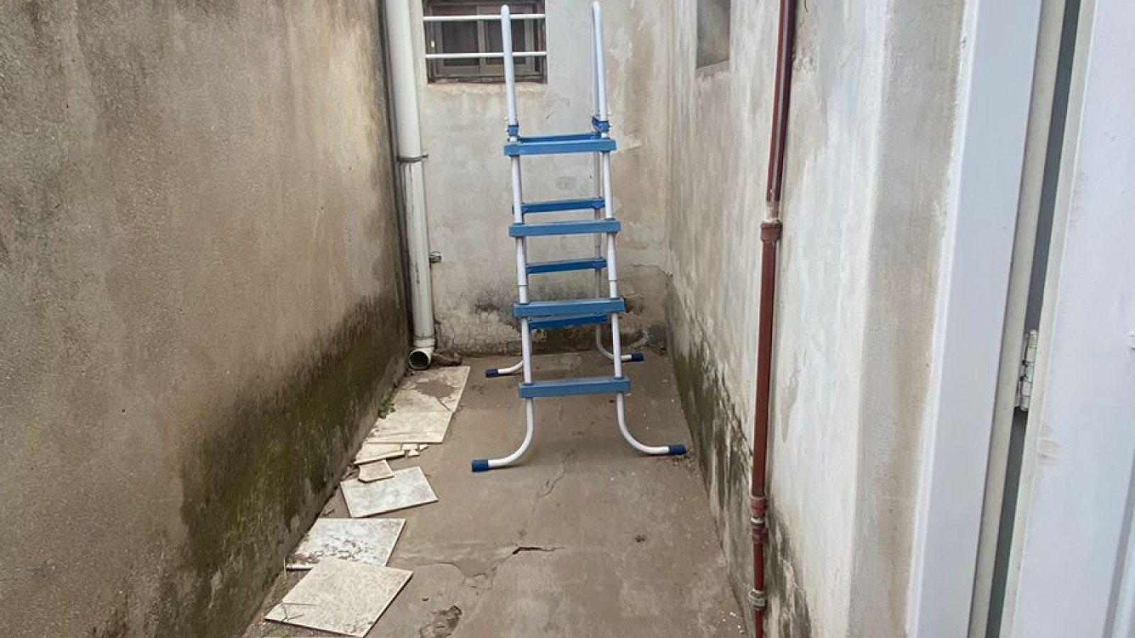 2464 Terrada, Bahía Blanca, Buenos Aires, 8000, 3 Bedrooms Bedrooms, ,2 BathroomsBathrooms,Casa,Venta,Terrada,1651