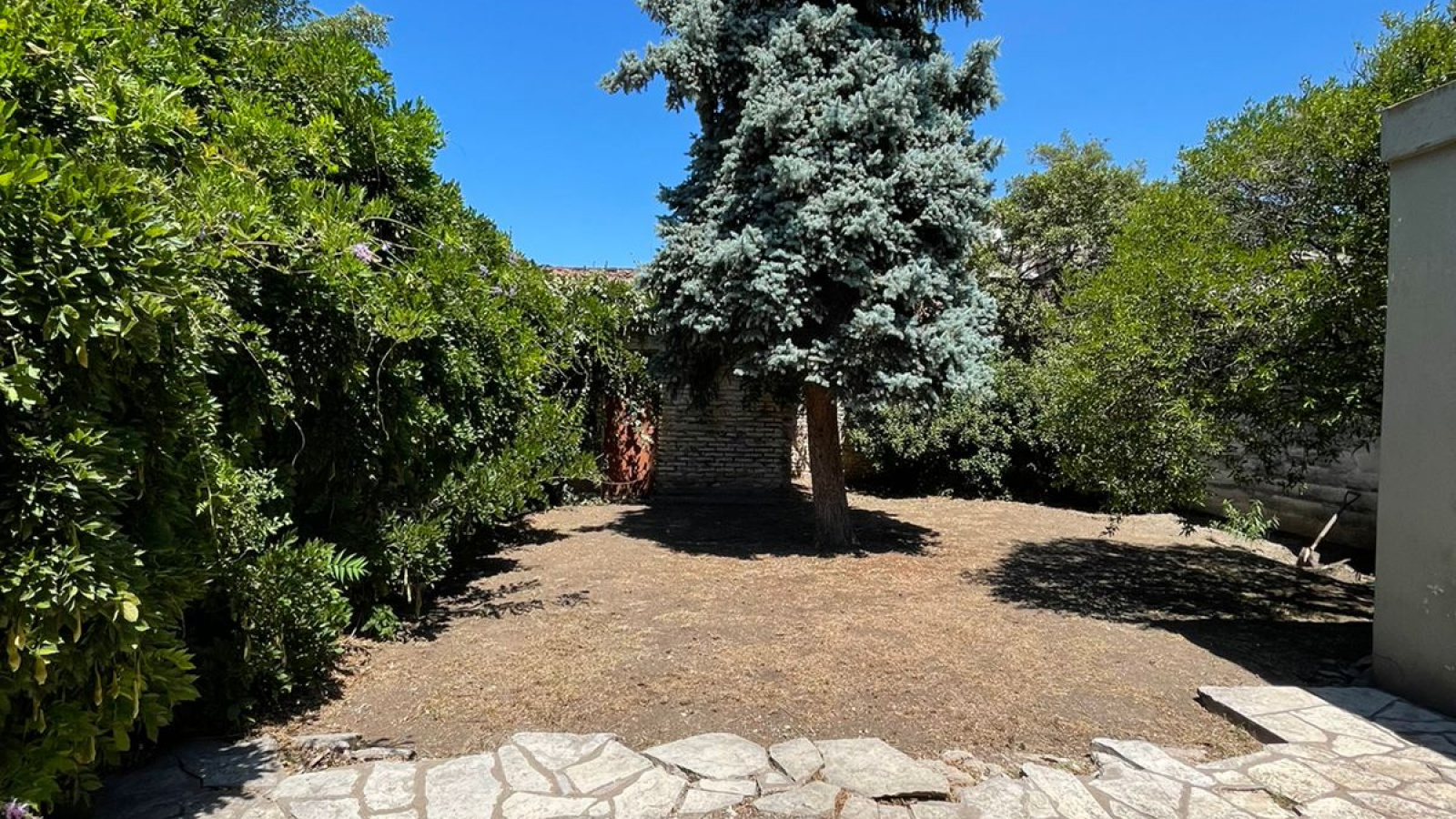 636 Tucuman, Bahía Blanca, Buenos Aires, 8000, 4 Bedrooms Bedrooms, 0 ,2 BathroomsBathrooms,Casa,Alquiler,Tucuman ,0,1674