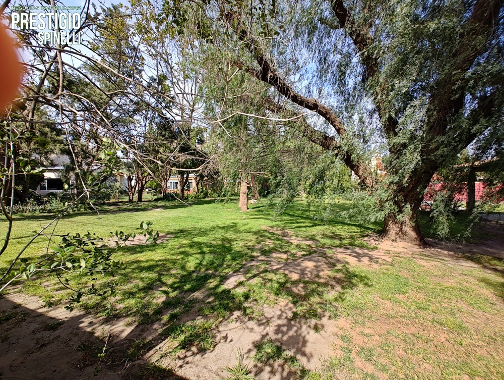 338 Rayen, Bahía Blanca, Buenos Aires, 8000, ,Terreno,Venta,Rayen ,1734