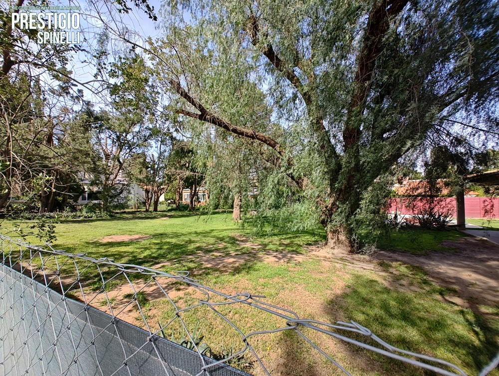 338 Rayen, Bahía Blanca, Buenos Aires, 8000, ,Terreno,Venta,Rayen ,1734