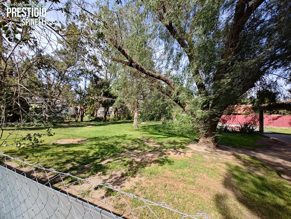 338 Rayen, Bahía Blanca, Buenos Aires, 8000, ,Terreno,Venta,Rayen ,1734