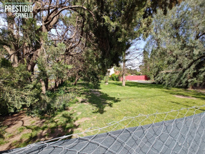 338 Rayen, Bahía Blanca, Buenos Aires, 8000, ,Terreno,Venta,Rayen ,1734