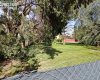 338 Rayen, Bahía Blanca, Buenos Aires, 8000, ,Terreno,Venta,Rayen ,1734