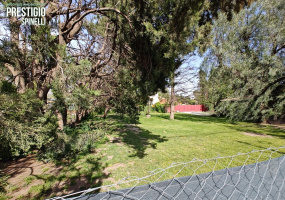 338 Rayen, Bahía Blanca, Buenos Aires, 8000, ,Terreno,Venta,Rayen ,1734