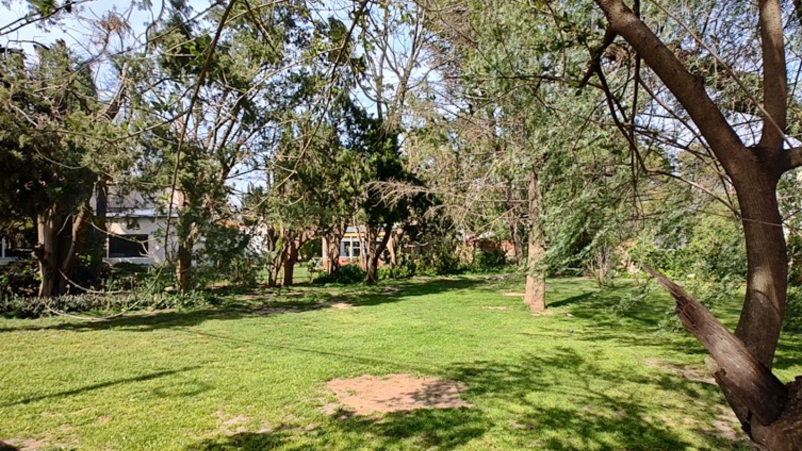 338 Rayen, Bahía Blanca, Buenos Aires, 8000, ,Terreno,Venta,Rayen ,1734