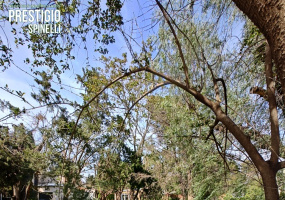 338 Rayen, Bahía Blanca, Buenos Aires, 8000, ,Terreno,Venta,Rayen ,1734