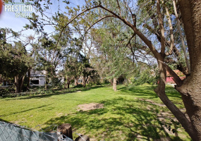 338 Rayen, Bahía Blanca, Buenos Aires, 8000, ,Terreno,Venta,Rayen ,1734