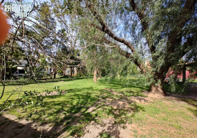 338 Rayen, Bahía Blanca, Buenos Aires, 8000, ,Terreno,Venta,Rayen ,1734