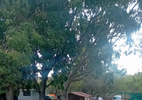 Calle 20, El Condor, Río Negro, 8501, 0 , 0 ,0,Emprendimiento,Venta,Calle 20,0,1748