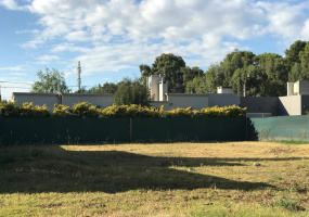 3215 Parera, Bahia Blanca, Bahia Blanca, Buenos Aires, 8000, ,Terreno,Venta,Parera,1796