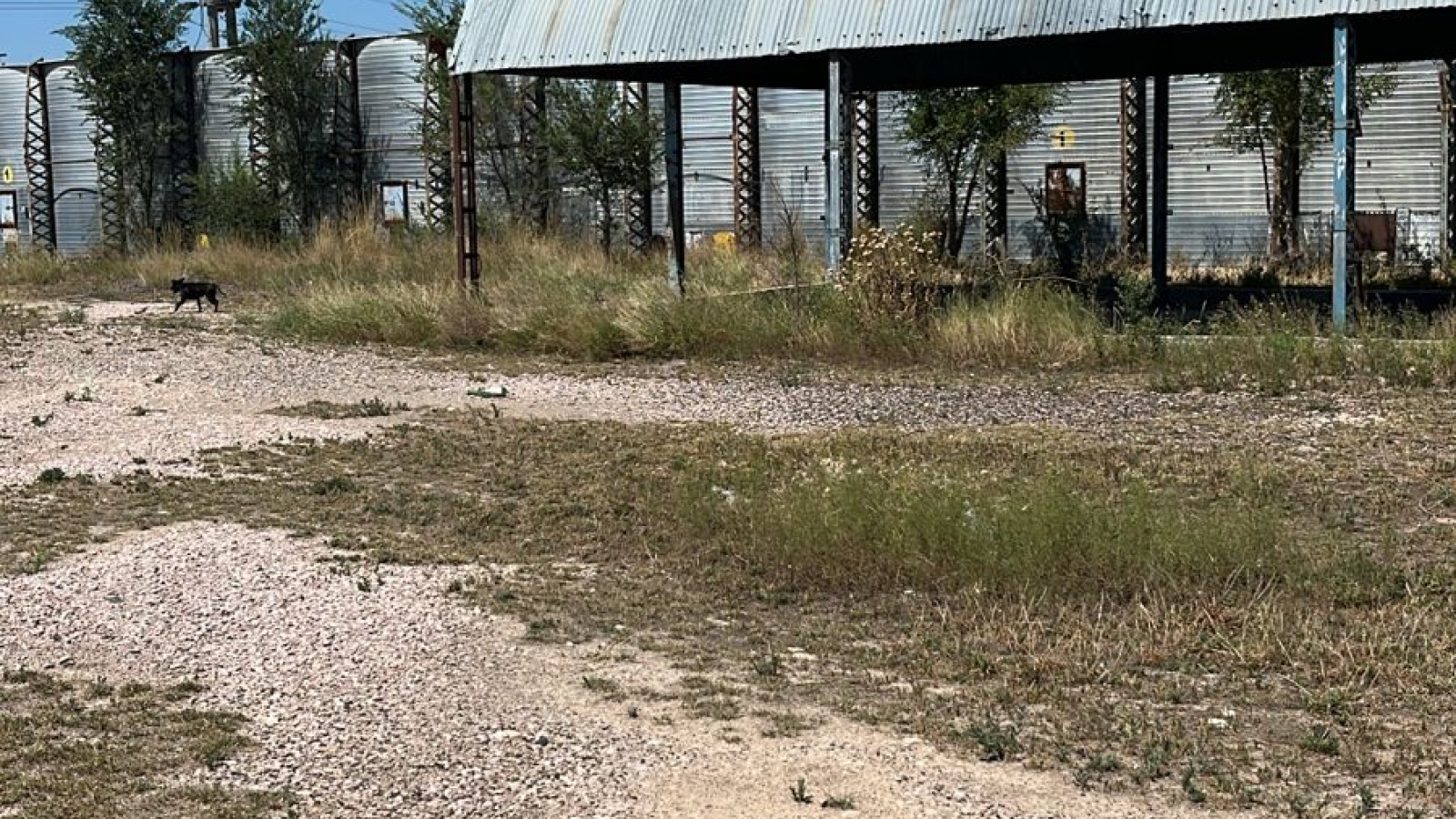 Av. Francisco Perito Ver másno, Frente a Terminal Bah, Bahia Blanca, Bahía Blanca, Buenos Aires, 8000, 0 , 0 ,0,Galpon/Deposito,Venta,Av. Francisco Perito Moreno, Frente a Terminal Bah,0,1802