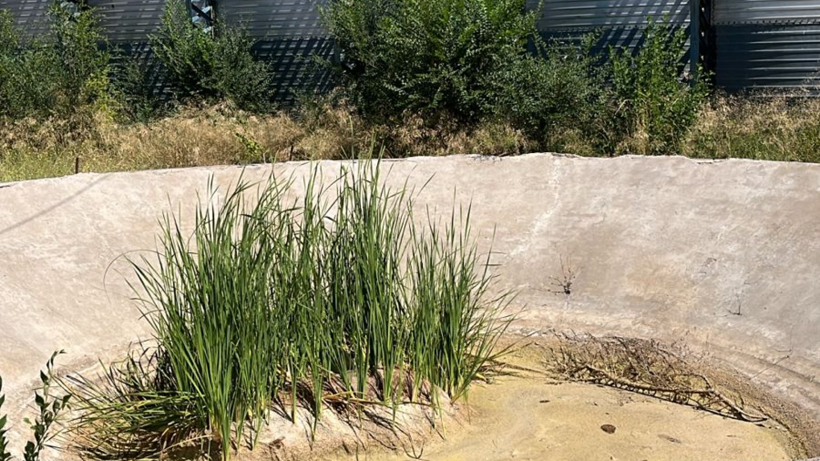 Av. Francisco Perito Ver másno, Frente a Terminal Bah, Bahía Blanca, Buenos Aires, 8000, 0 , 0 ,0,Terreno,Venta,Av. Francisco Perito Moreno, Frente a Terminal Bah,0,1803