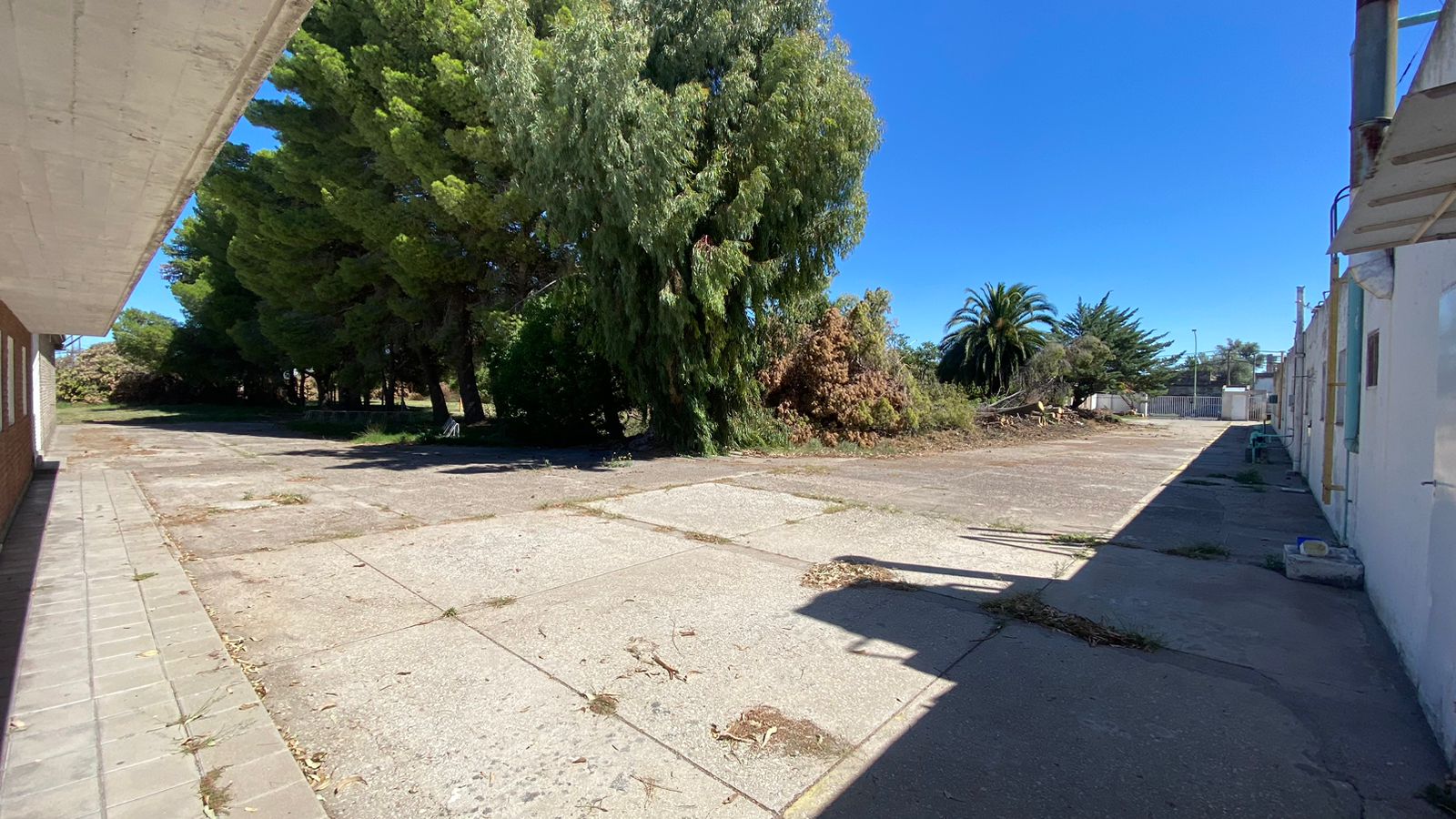 1508 Undiano, Bahia Blanca, Buenos Aires, 8000, ,Terreno,Alquiler,Undiano,1831