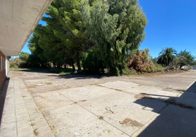 1508 Undiano, Bahia Blanca, Buenos Aires, 8000, ,Terreno,Alquiler,Undiano,1831