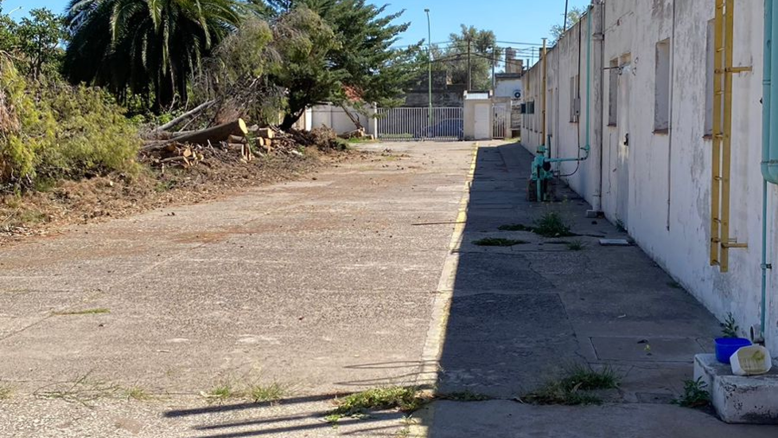 1508 Undiano, Bahia Blanca, Buenos Aires, 8000, ,Terreno,Alquiler,Undiano,1831