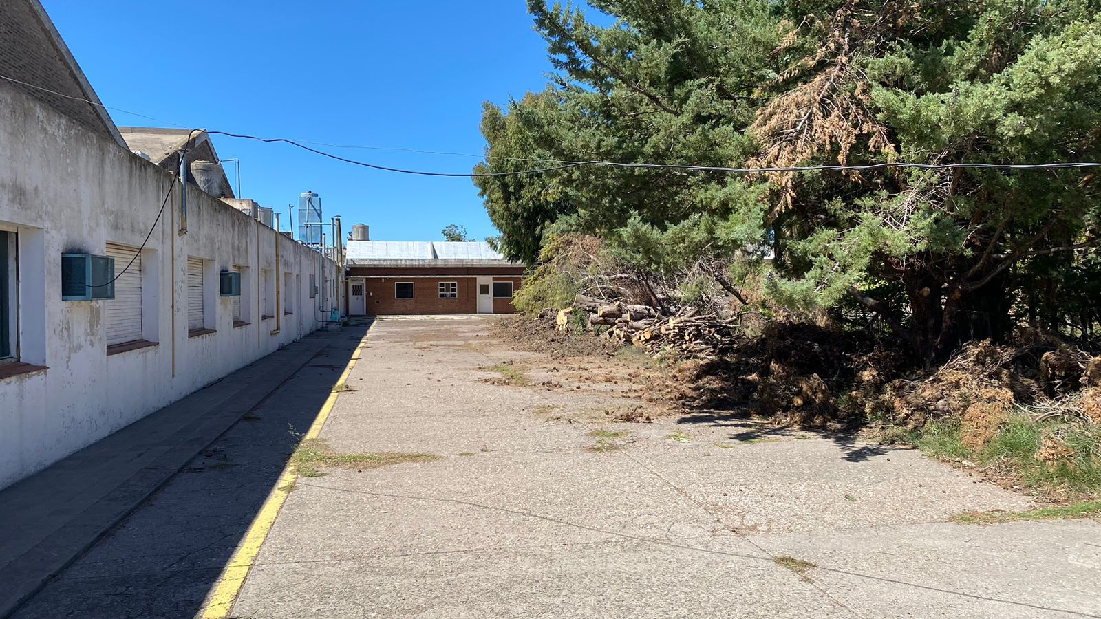 1508 Undiano, Bahia Blanca, Buenos Aires, 8000, ,Terreno,Alquiler,Undiano,1831