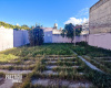 1347 Zapiola, Bahia Blanca, Buenos Aires, 8000, 2 Bedrooms Bedrooms, ,1 BathroomBathrooms,Casa,Venta,Zapiola,1839