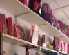 3621 Rincon, Bahia Blanca, Buenos Aires, 8000, ,Local comercial,Venta,Rincon,1850