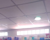 3621 Rincon, Bahia Blanca, Buenos Aires, 8000, ,Local comercial,Venta,Rincon,1850
