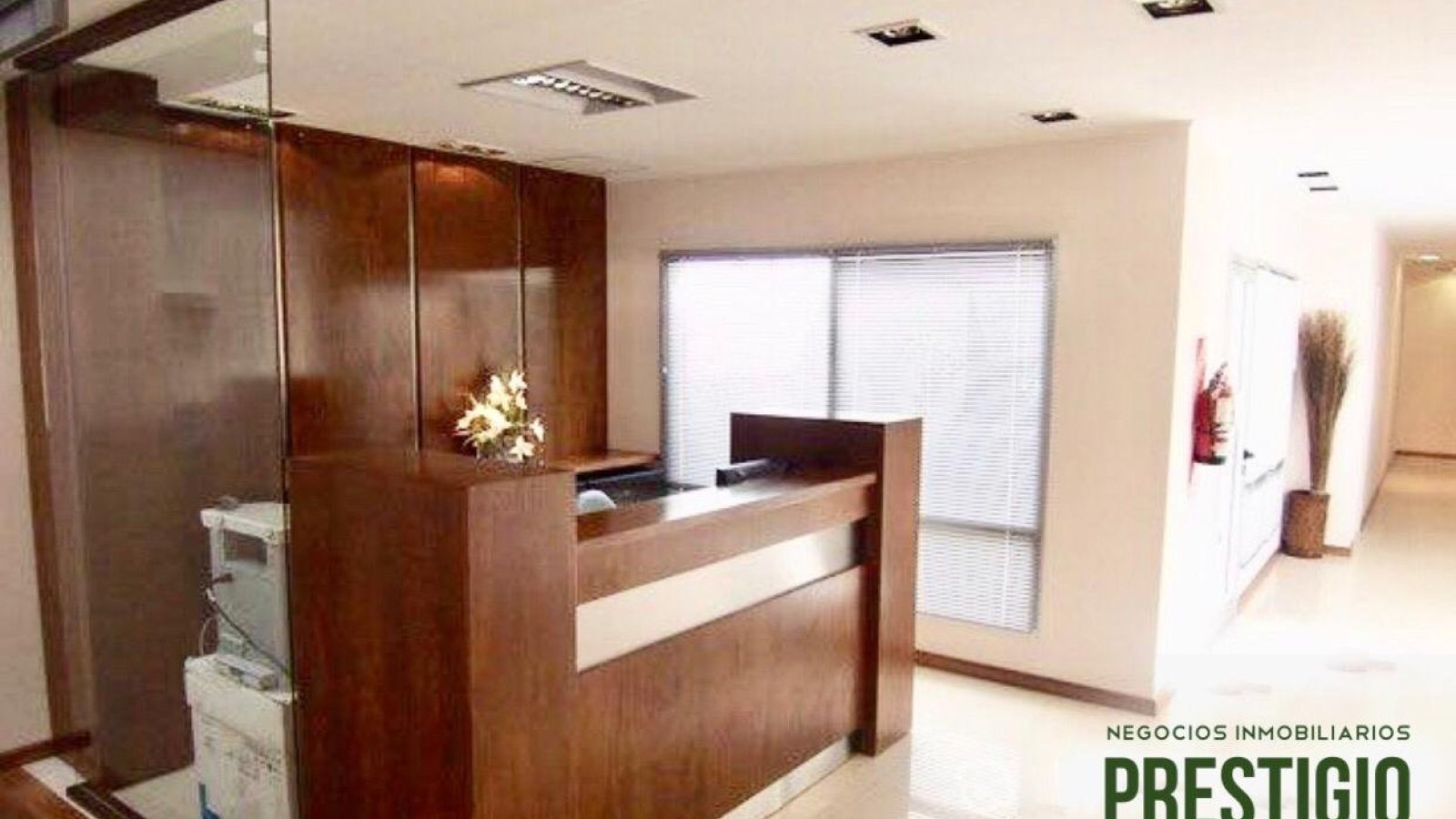 757 Avenida General Cerri, Bahía Blanca, Buenos Aires, 8000, ,Oficina,Alquiler,Avenida General Cerri,1083