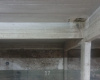 233 Belgrano, Bahia Blanca, Bahia Blanca, Buenos Aires, 8000, 0 , 1 Room Rooms,0,Cochera,Venta,Belgrano,0,1891