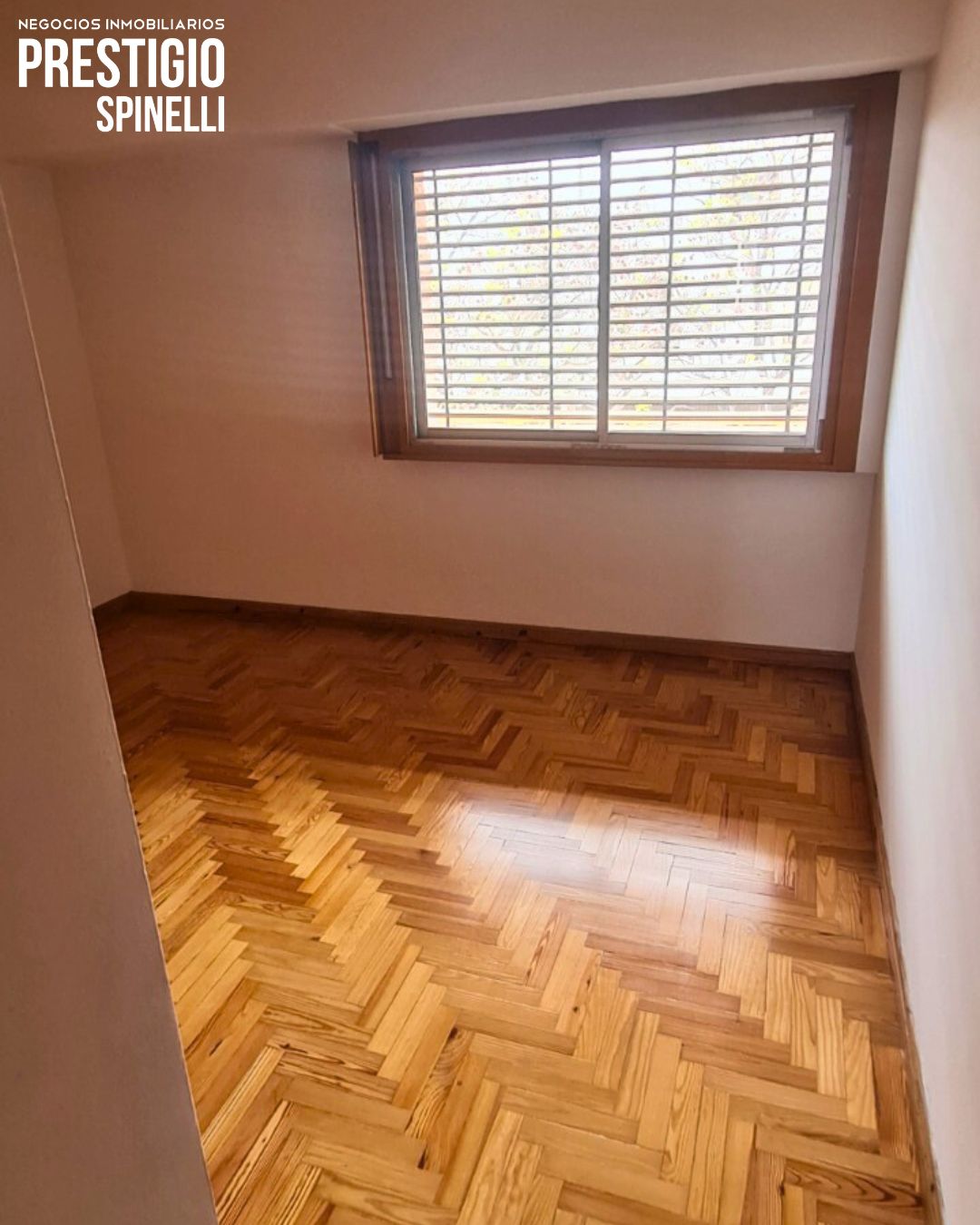 194 Viamonte, Bahia Blanca, Buenos Aires, 8000, 2 Bedrooms Bedrooms, 0 ,1 BathroomBathrooms,Departamento,Alquiler,Viamonte,1,1944