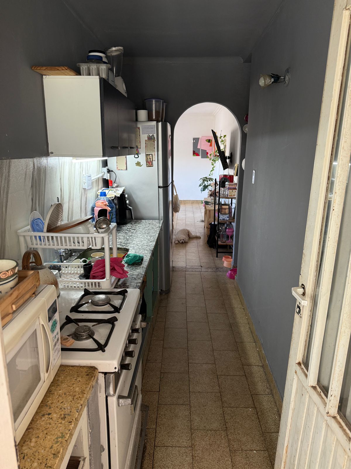 634 Castelli, Bahia Blanca, Buenos Aires, 8000, 2 Bedrooms Bedrooms, 0 ,1 BathroomBathrooms,Departamento,Venta,Castelli,2,1948