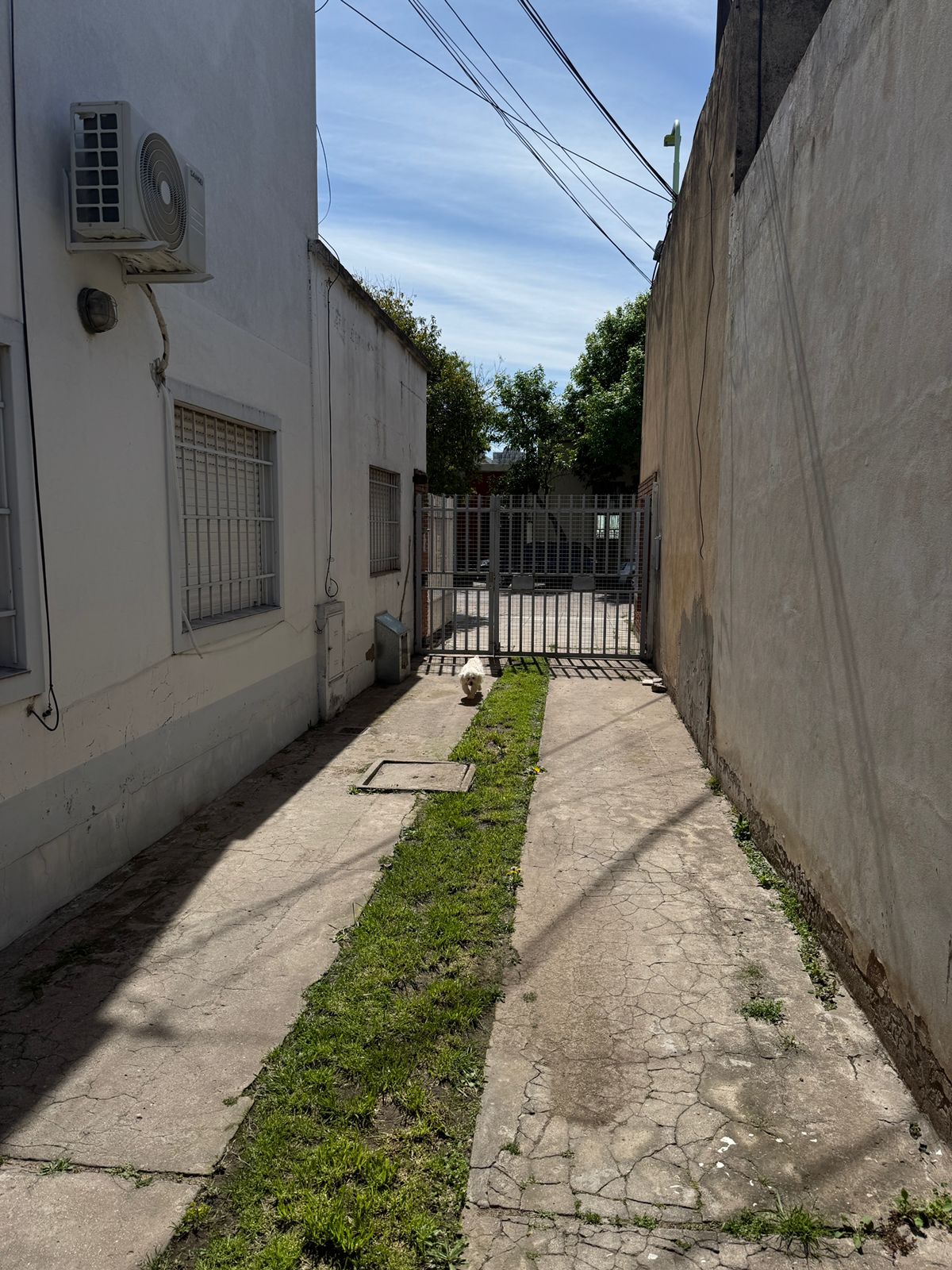 634 Castelli, Bahia Blanca, Buenos Aires, 8000, 2 Bedrooms Bedrooms, 0 ,1 BathroomBathrooms,Departamento,Venta,Castelli,2,1948