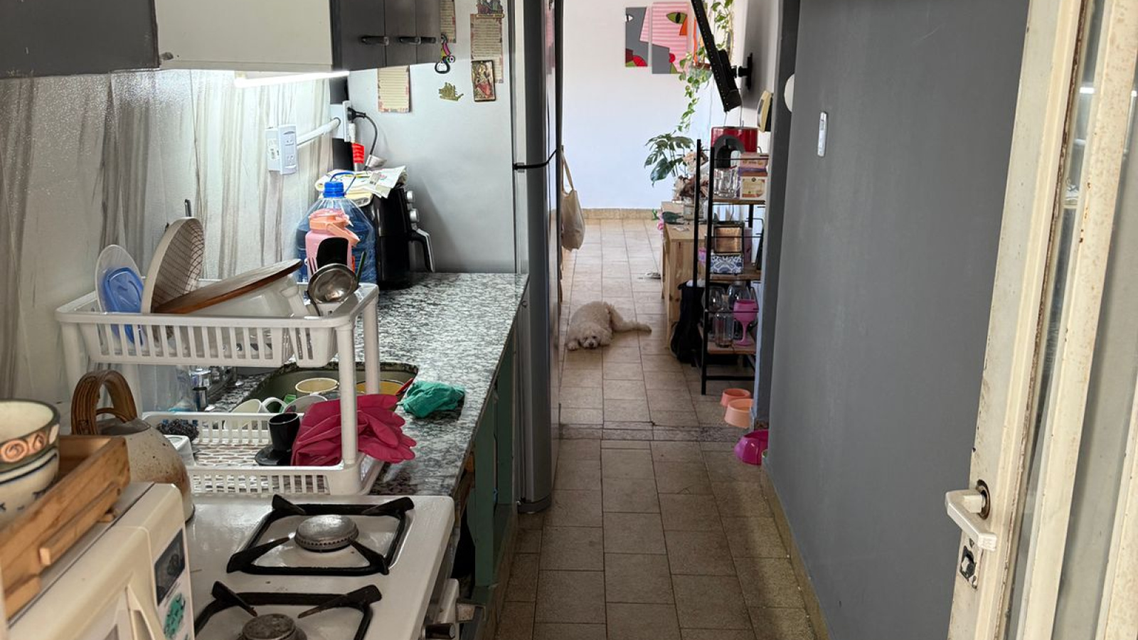 634 Castelli, Bahia Blanca, Buenos Aires, 8000, 2 Bedrooms Bedrooms, 0 ,1 BathroomBathrooms,Departamento,Venta,Castelli,2,1948