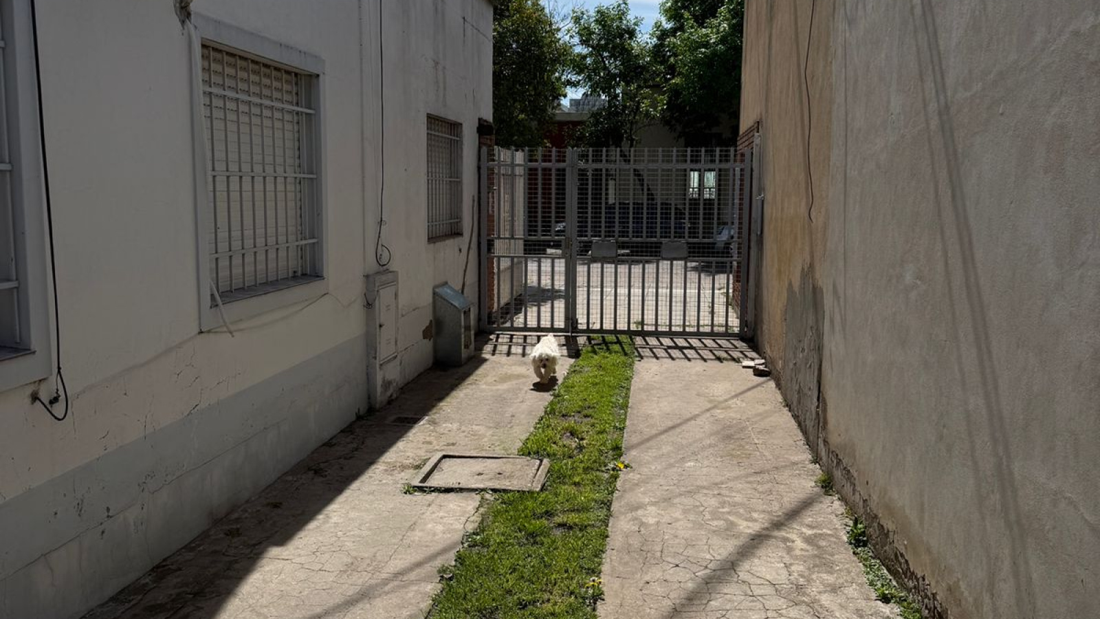 634 Castelli, Bahia Blanca, Buenos Aires, 8000, 2 Bedrooms Bedrooms, 0 ,1 BathroomBathrooms,Departamento,Venta,Castelli,2,1948