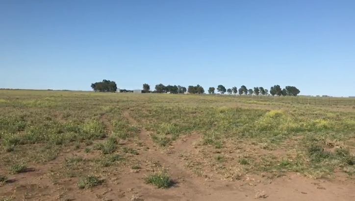 Puan, Buenos Aires, ,Campo,Venta,1090