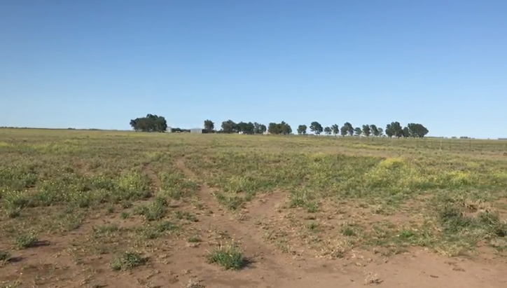 Buenos Aires, ,Campo,Venta,1090