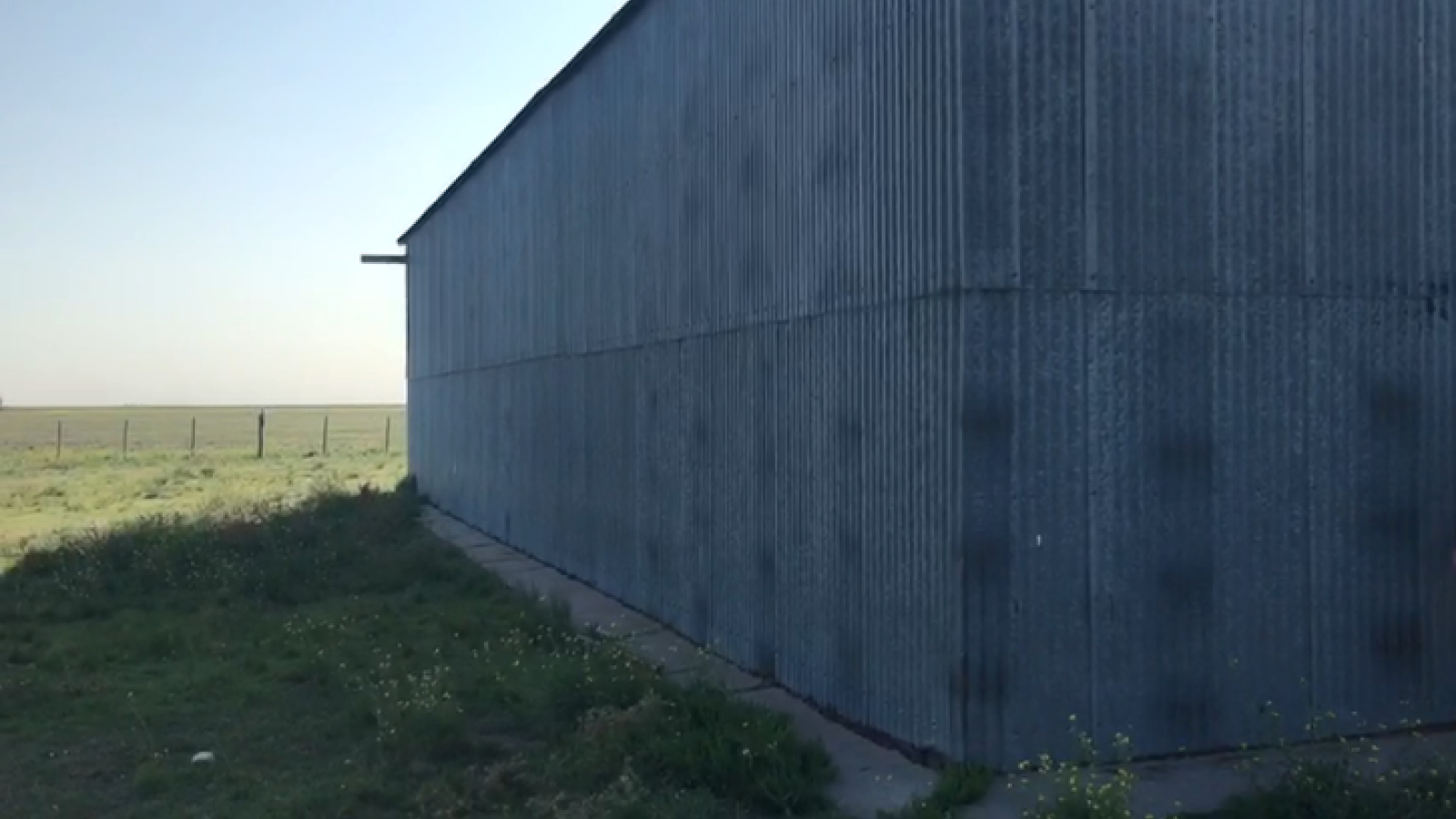 Puan, Buenos Aires, ,Campo,Venta,1090