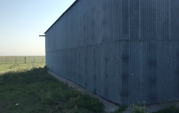 Puan, Buenos Aires, ,Campo,Venta,1090