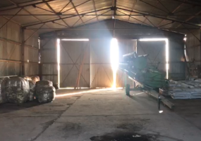 Puan, Buenos Aires, ,Campo,Venta,1090